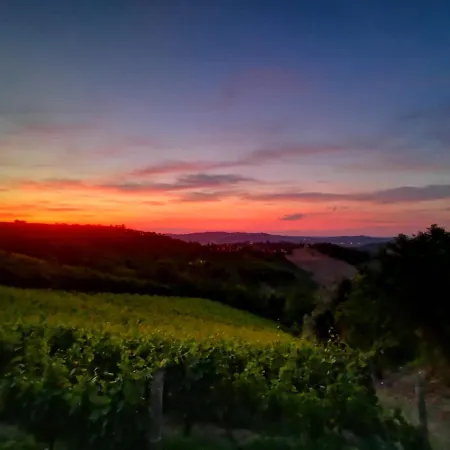 A 2,5 Km Dal Centro Di Alba Con Vista Sulle Langhe Ferienhaus *